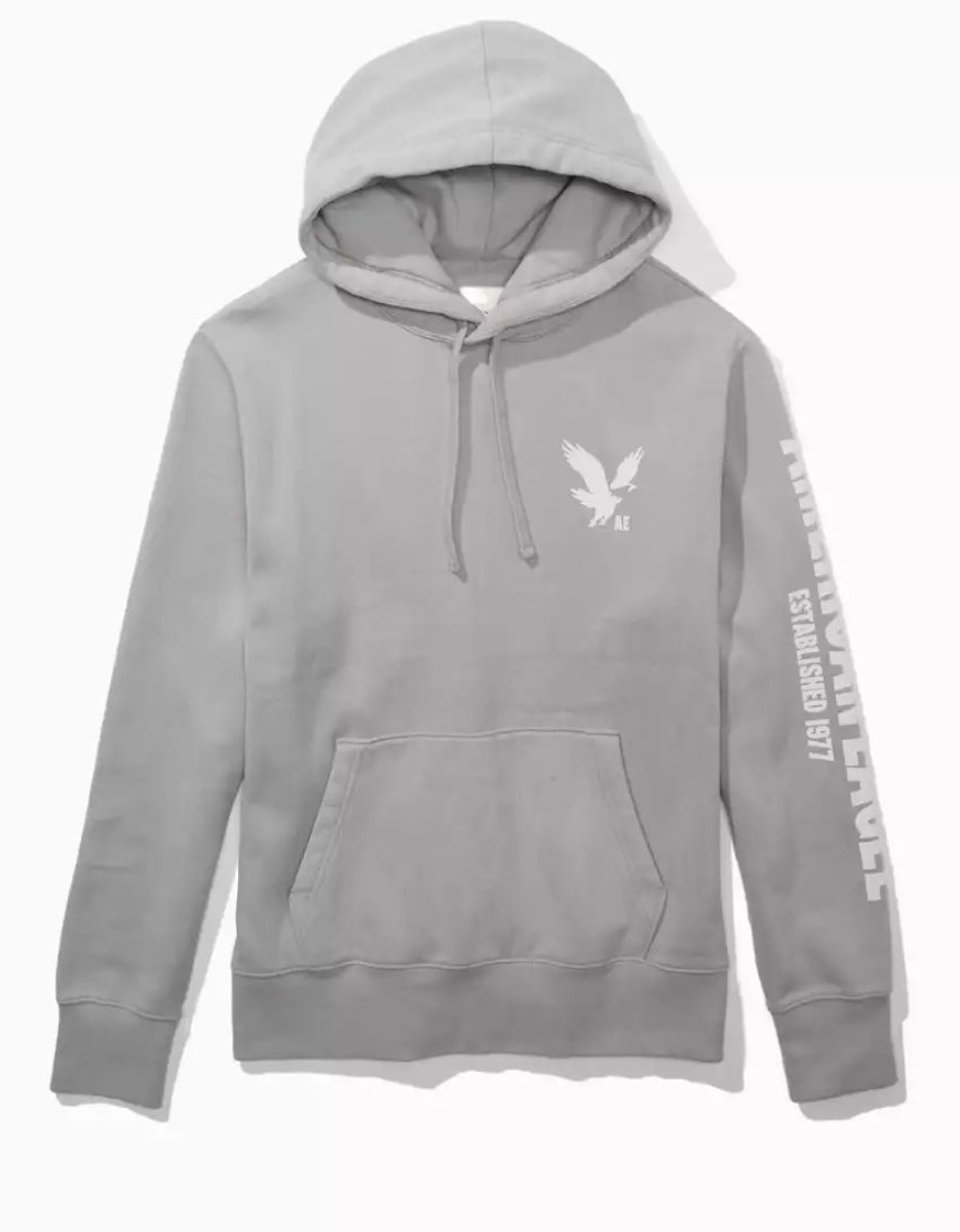 Sweat à Capuche American Eagle AE Super Soft Icon Graphique Grise Clair Homme | TDD-59037967